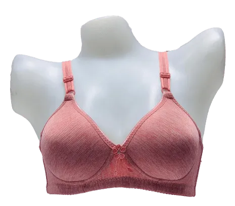 Elegant Self Padded T-Shirt Bra