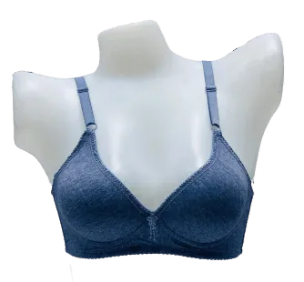 Elegant Self Padded T-Shirt Bra