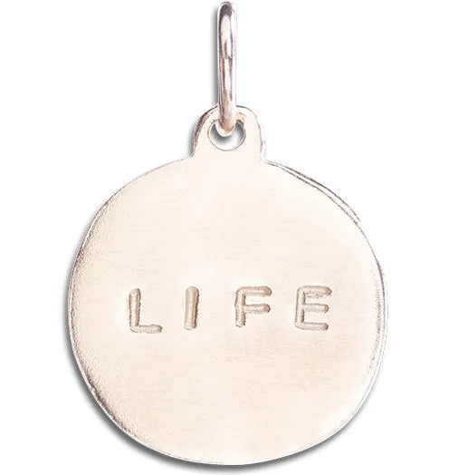 Life Disk Charm