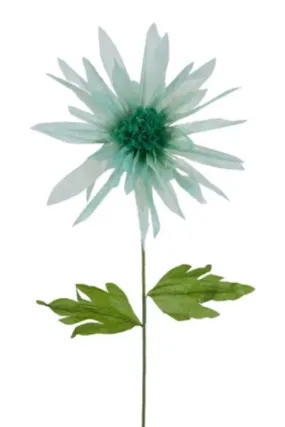 Paper Daisy, Mint